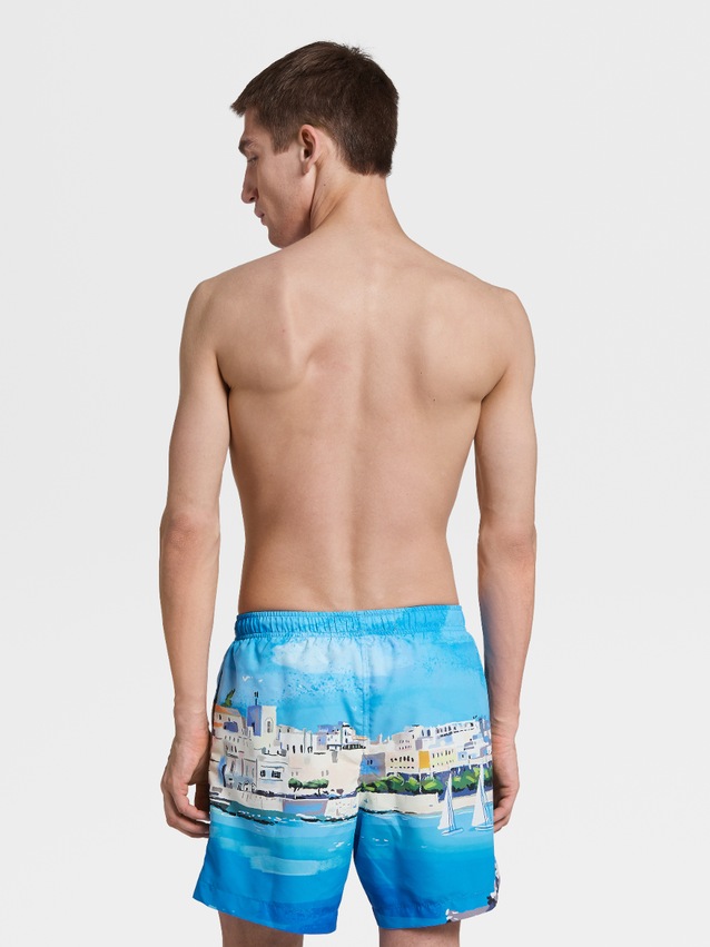 Designer swim trunks collection 