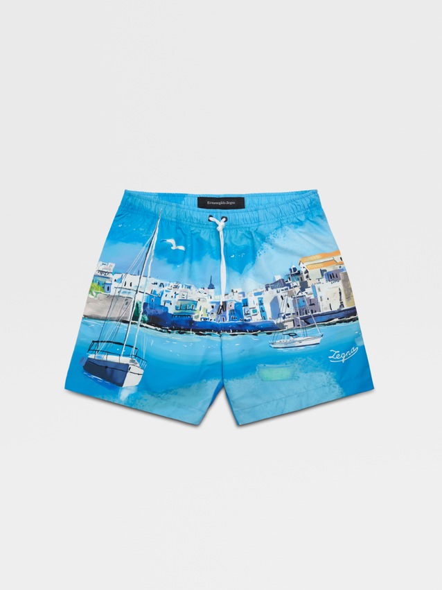 Designer swim trunks collection 