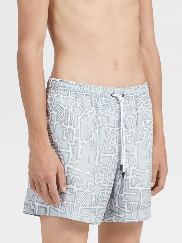Designer swim trunks collection 