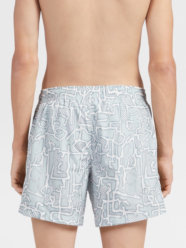 Designer swim trunks collection 