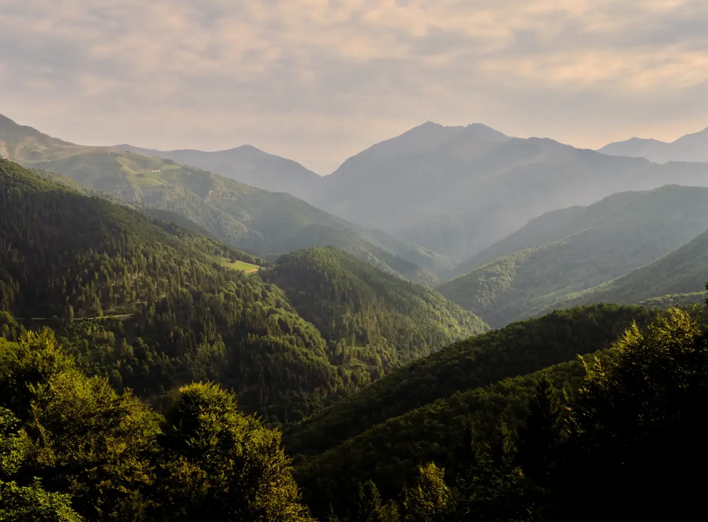 A landscape featuring green hills in Oasi Zegna.