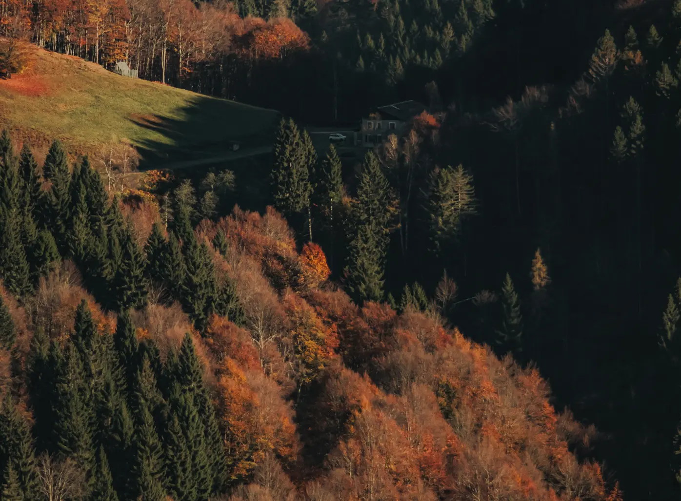 Oasi Zegna 自然景观俯瞰图。