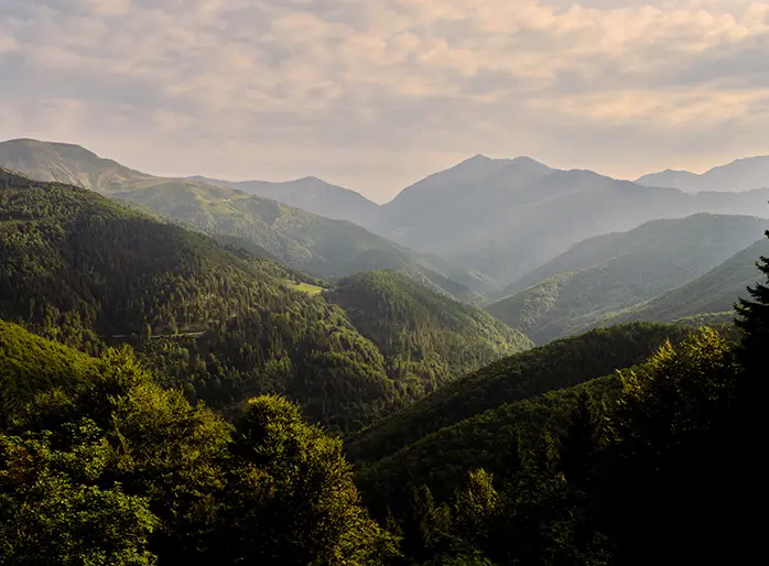 Paysage des collines verdoyantes de Oasi Zegna dans les Alpes bielloises, dans le Piémont.