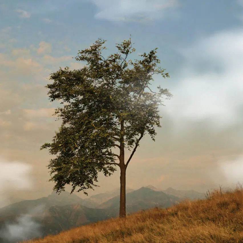A landscape featuring green hills with a prominent tree in Oasi Zegna, nestled in the Biellese Alps of Piedmont, Italy.