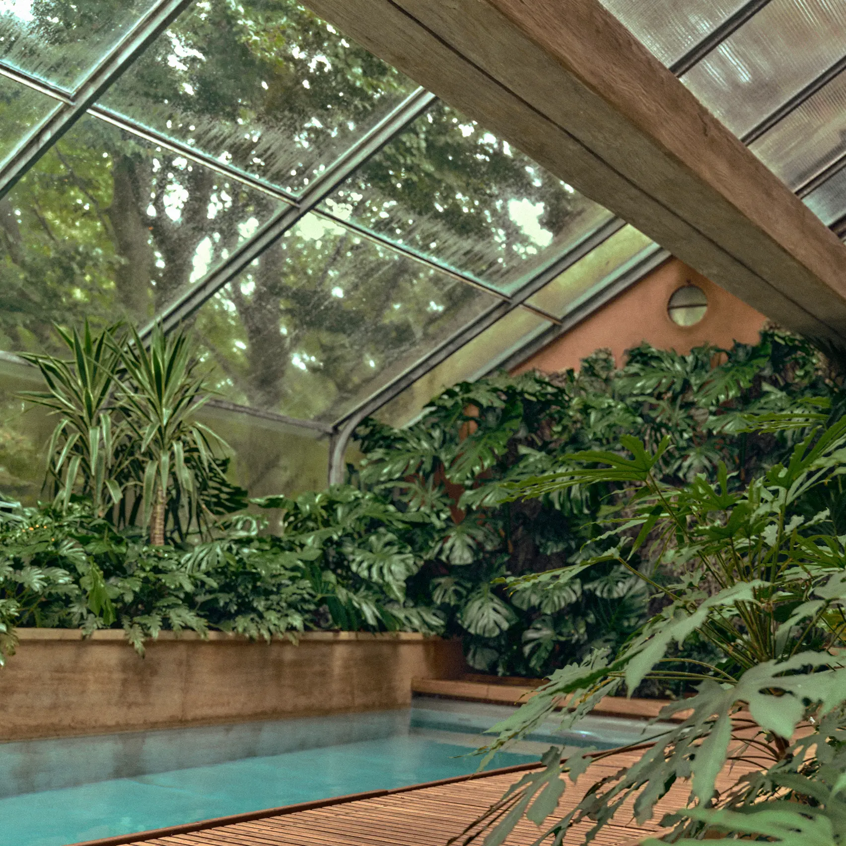 A refined natural setting defined by organic forms and a calm, immersive atmosphere.