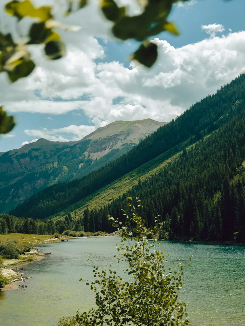 Visual storytelling inspired by nature and the Aspen landscape, part of ZEGNA’s environmental project.