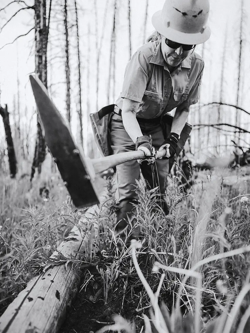 Black-and-white close-up of a forest worker using a hand tool among trees and vegetation.