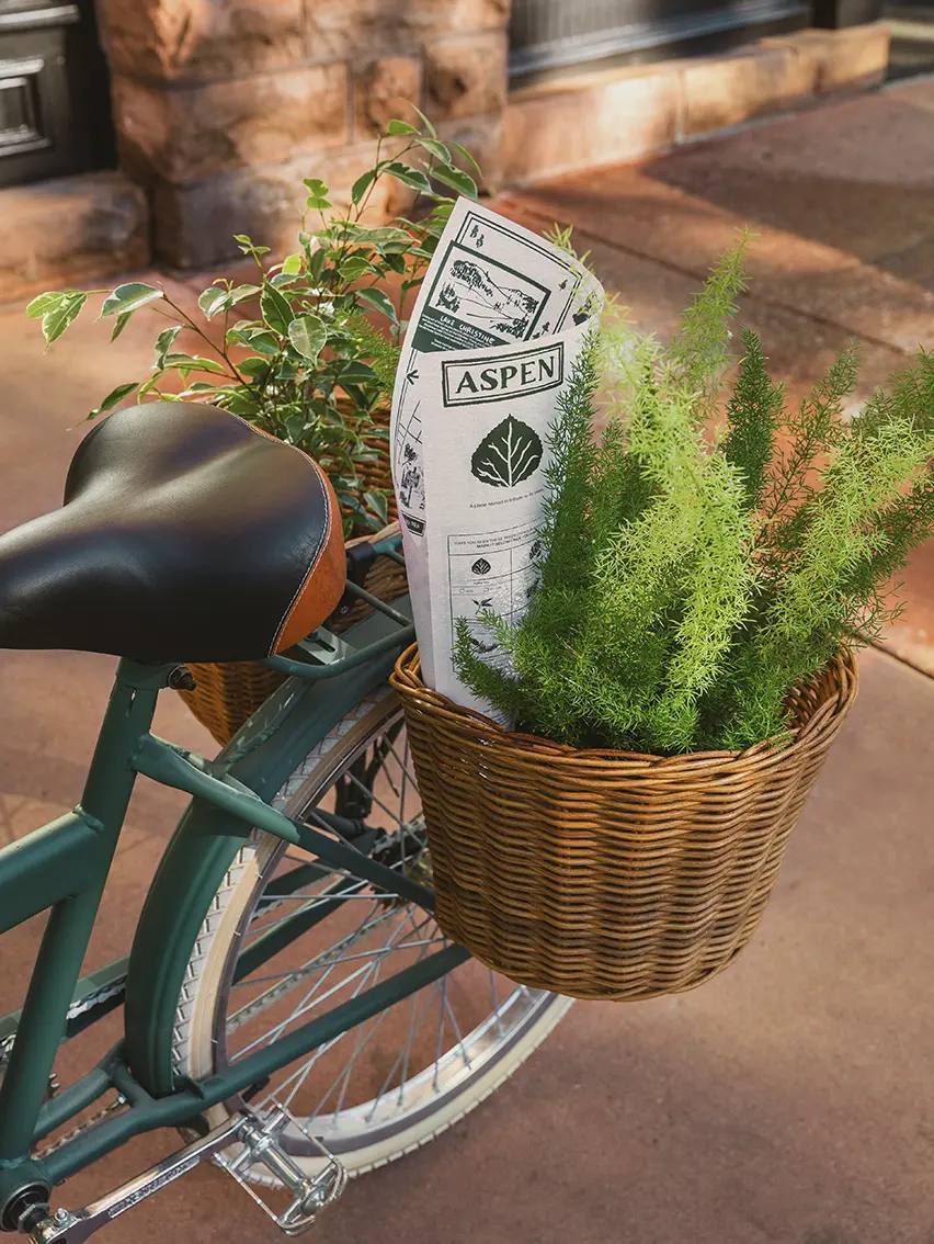 Bicycle basket with ZEGNA Your Fingerprint, Your Legacy campaign materials and plants.