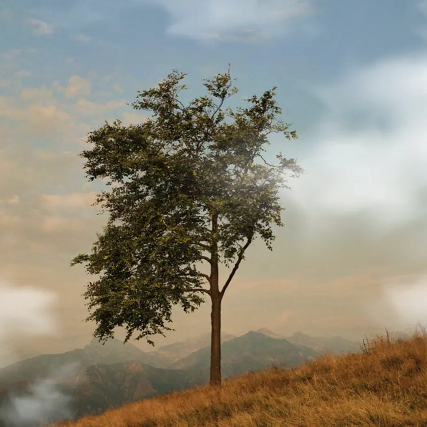 A landscape featuring green hills with a prominent tree in Oasi Zegna, nestled in the Biellese Alps of Piedmont, Italy.