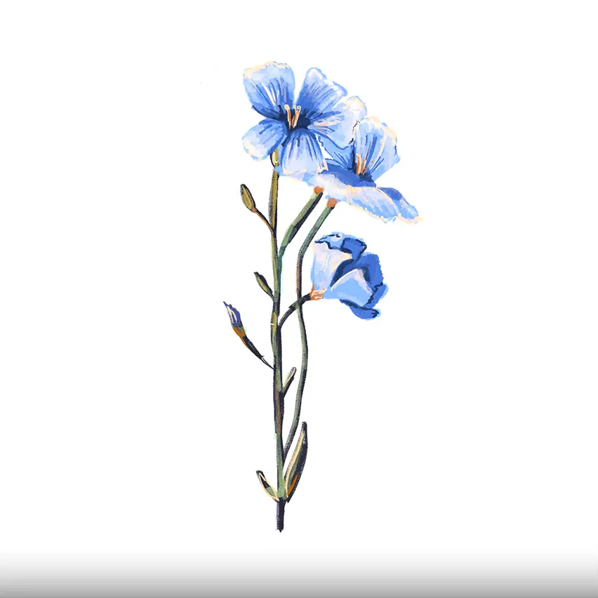 青いフラックスの花