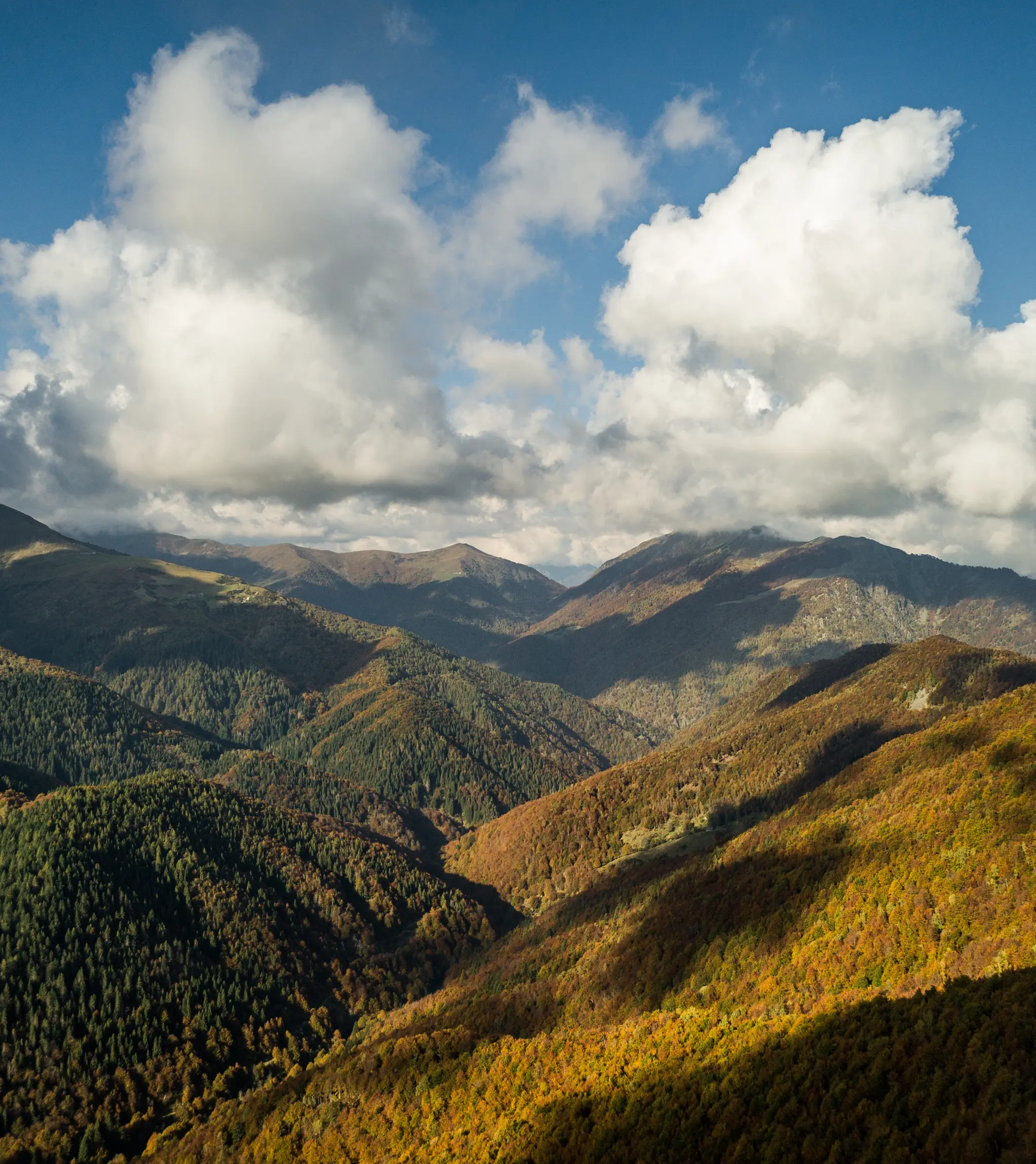Oasi Zegna landscape during fall.