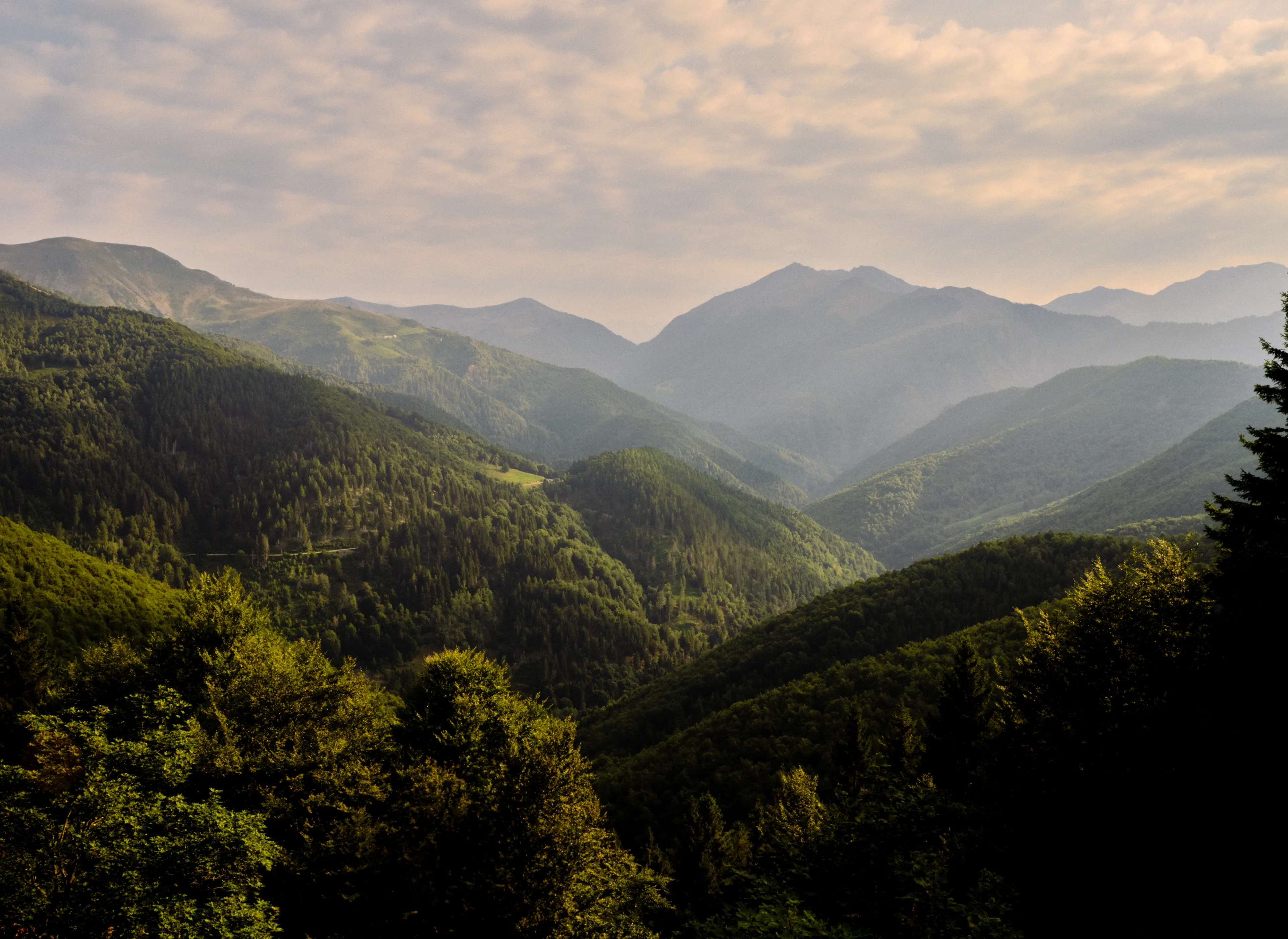 Picture of Oasi Zegna