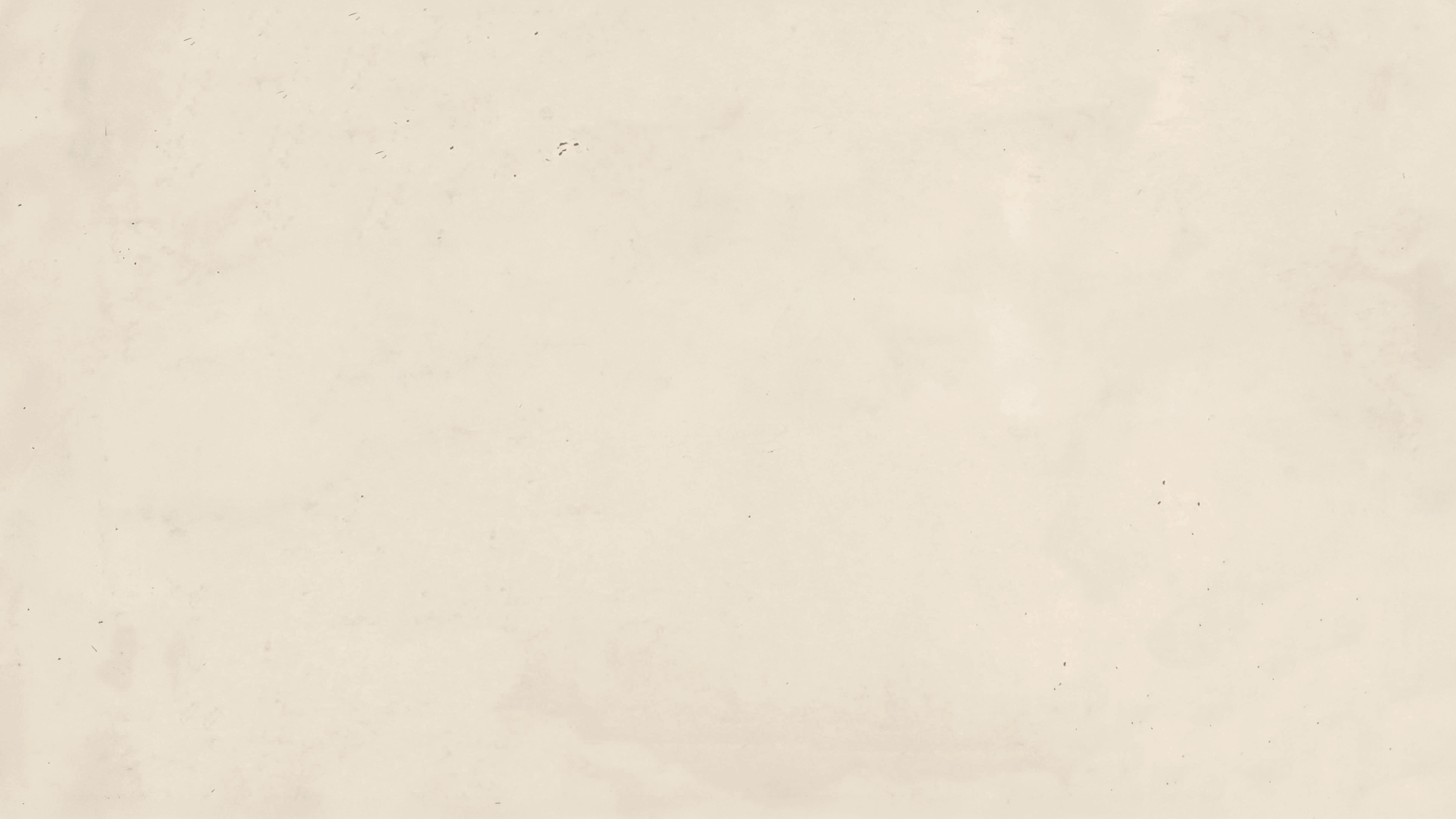 A sequence of falcons in flight against a neutral background.