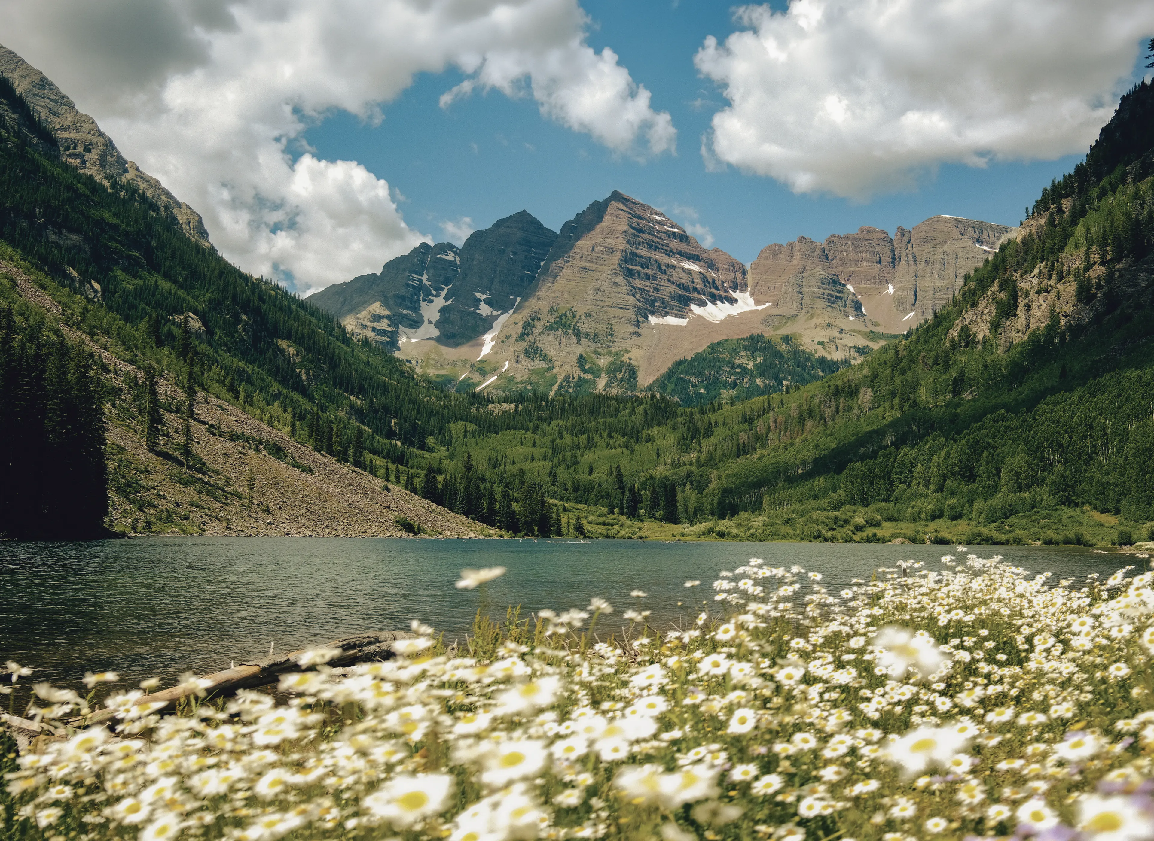 Mountain landscape at the Maroon Bells in Aspen, with a lake and white wildflowers in the foreground.