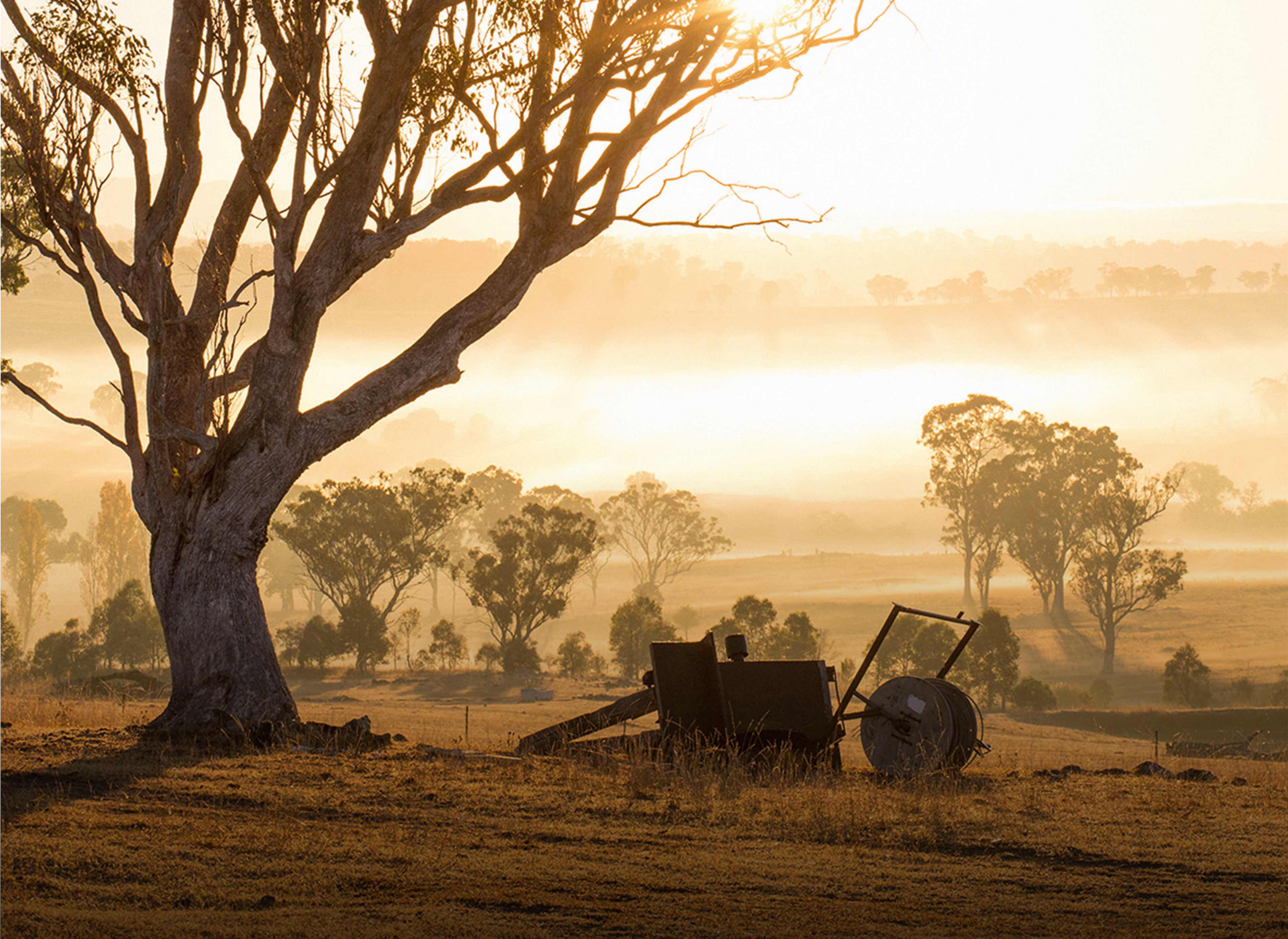 Achillfarm™ in New South Wales | Zegna