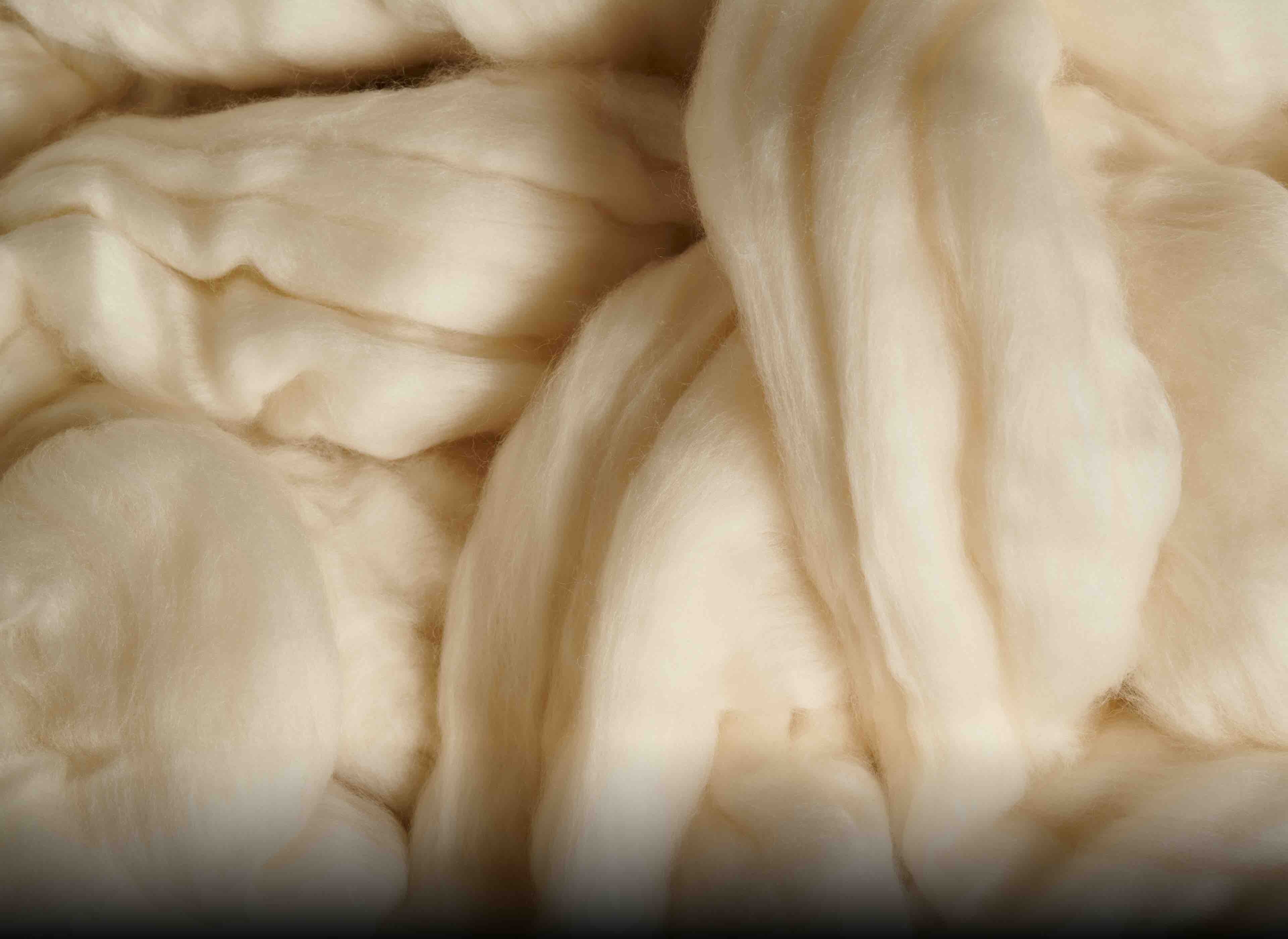 High grade fibers from Merino sheeps | Zegna