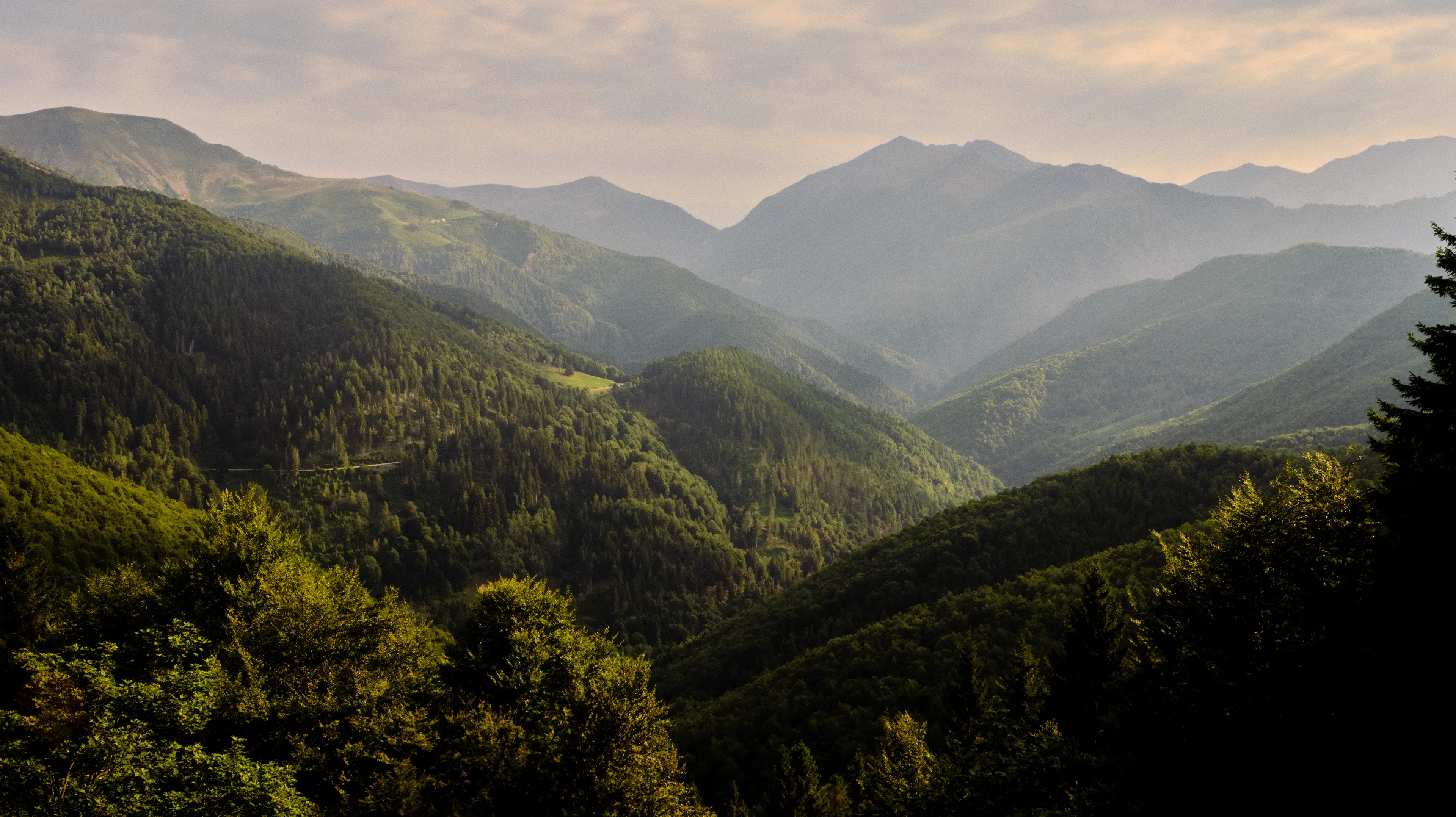 Oasi Zegna: a nature reserve in Northern Italy | Zegna