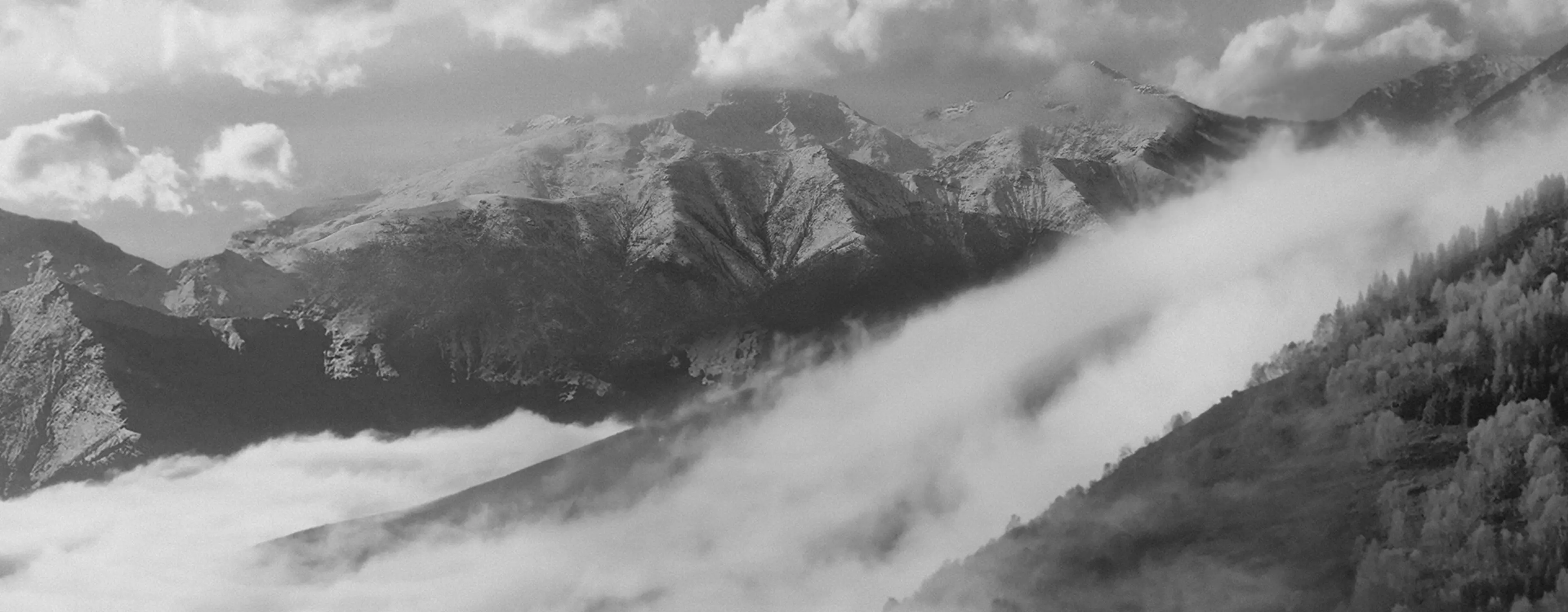在 Oasi Zegna 欣赏意大利阿尔卑斯山脉的景色,以及白雪皑皑的山峰和宁静的山地景观。