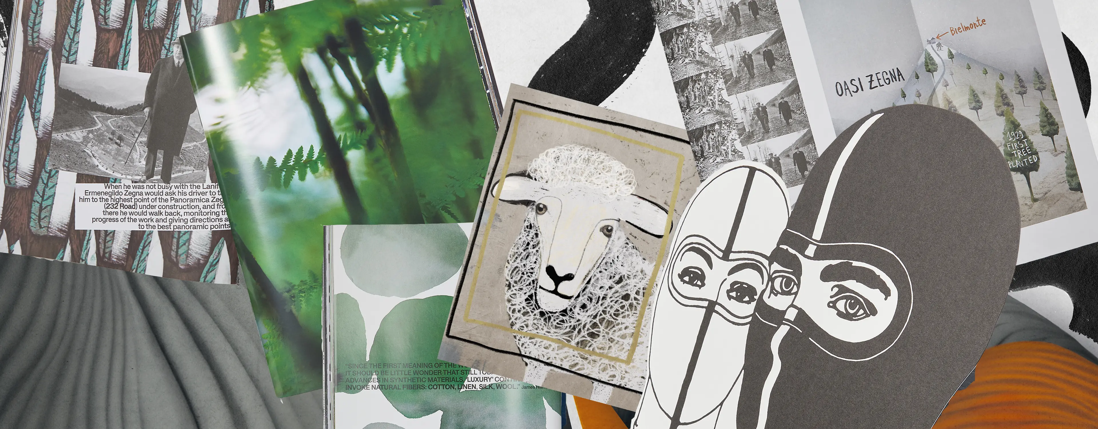 Illustration inspired by the contents of the book ‘Born in Oasi Zegna’.