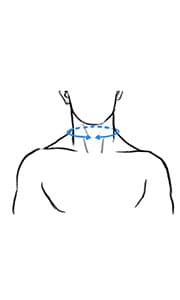 Neck