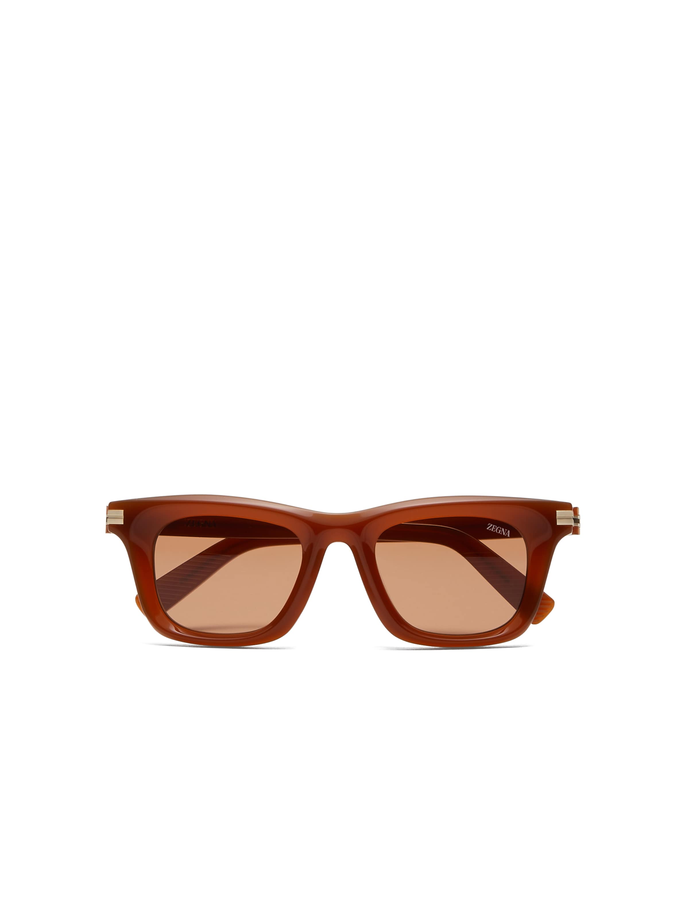 Zegna Brown Acetate Sunglasses In Brown